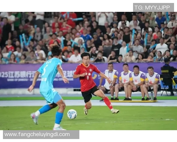 足球金成:探索足球运动的魅力与未来发展之路